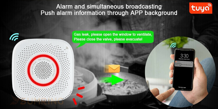  push alarm to phone smart gas detector wifi gas sensor